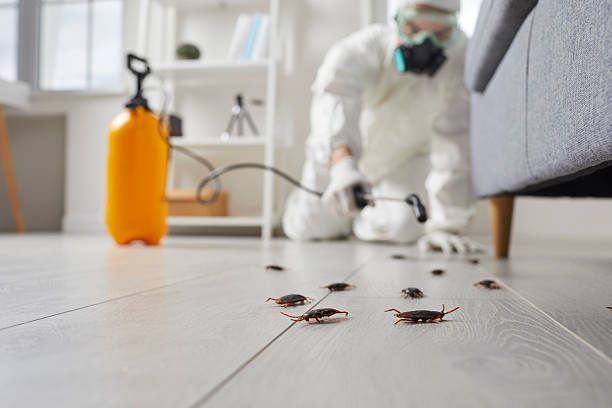 Commercial Kitchen Cockroach Control in Metzger